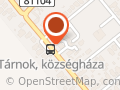 Visszapillantó