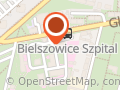 Placówka Straży Granicznej w Rudzie Śląskiej