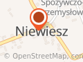 Alpinistyczna wycinka drzew