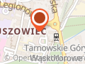 Auto Grześ