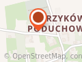 Ochotnicza Straż Pożarna