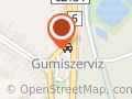 Gumiszerviz