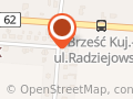 Transport ciężarowy- Andrzej Boniec