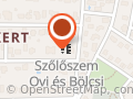 Szőlőszem Óvoda