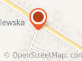 Piątek Ewa. Usługi Transportowe