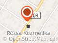 CERTUSS Gyorsgőzfejlesztők Képviselete, Szervize