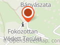 Erzsébetvirág