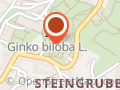 Stredná odborná škola lesnícka - Školské Lesy