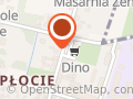 Market DINO