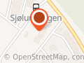 Organisasjonspsykologene Skare AS