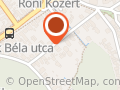 Panyiczki márkafüggetlen autószervíz