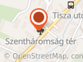 edzőmentor