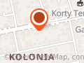 GEOINFO USŁUGI GEODEZYJNO INFORMATYCZNE
