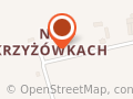Usługowy Warsztat Blacharsko Samochodowy. Janusz Skaliński