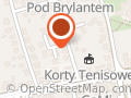 BART_4FUN Wypożyczalnia busów 9-osobowych i skuterów wodnych Pszczyna