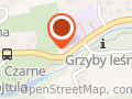 WISŁA CZARNE