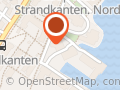 Odin Borg Nordgård