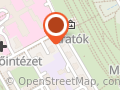 Újvárosi Mancsok Kutyaiskola