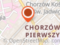 SIM Śląsk Sp. z o.o.