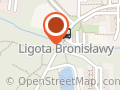 Marketing internetowy Wojewodztwoslaskie