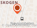 Musiker Birger Meyer Gjerdrum