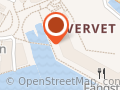 Vervet Adventures
