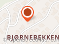 Berg Fiske og Utleie