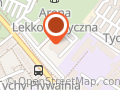 Półkolonie i Obozy Sportowe dla dzieci Tychy