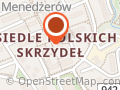 Pomnik Stanisława Skrzydlewskiego