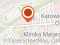 WSSE Katowice