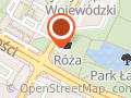 Róża