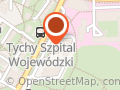 Lodziarnia tyska