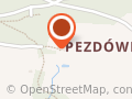 Dzika Łania