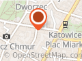 Karina Buława, Katowice