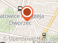 Jasnowidz Katowice Wolontariat