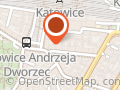 Kamińska-Hanusiak Maria. Sklep wielobranżowy