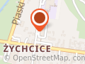 Kościół Wniebowzięcia NMP w Wojkowicach - Żychcice