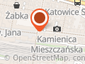 Globus. Przewozy Międzynarodowe, Wynajem Autokarów