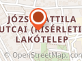Kutyadiéta