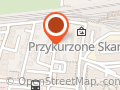 Transam. Naprawa i części do samochodów francuskich