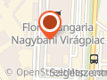 Nyester Kft.