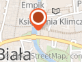 Aig Bank Polska S.a.