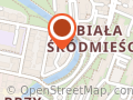Alfa. Usługi Geodezyjne