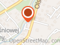 VITAL Małgorzata Wiesner