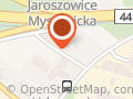 Wynajem samochodów dostawczych busów Tychy Europa Park