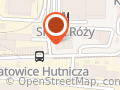 Wilga Sp. z o.o oddział Katowice