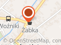 Żabka