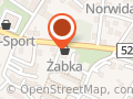 Gejzer Sp. z o.o. Agencja pożarnicza