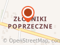P.U.H. Maniek Transport Maszyn Budowlanych, Rolniczych