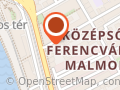 Levacsics L. Adél táncművész, tánctanár